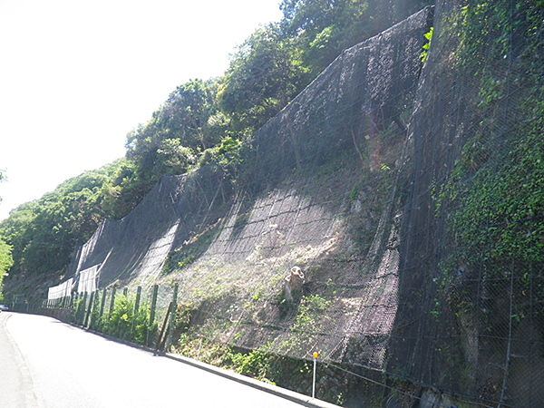 写真1　岐阜県岐阜土木事務所発注、岐阜市水風呂地内でカーテンネットライト　CNL-3.2タフコーティッド仕様を設置しました。