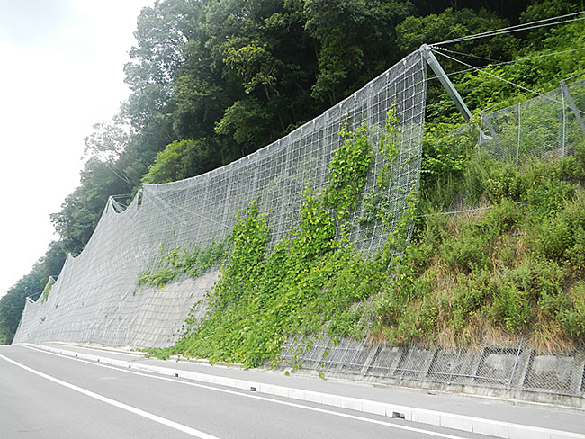 写真3 三次美土里線、三次市粟屋町上旭にカーテンネット、カーテンネットスーパーを設置しました