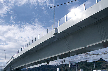 投物防止柵 国道11号小坂高架橋(愛媛県松山市)